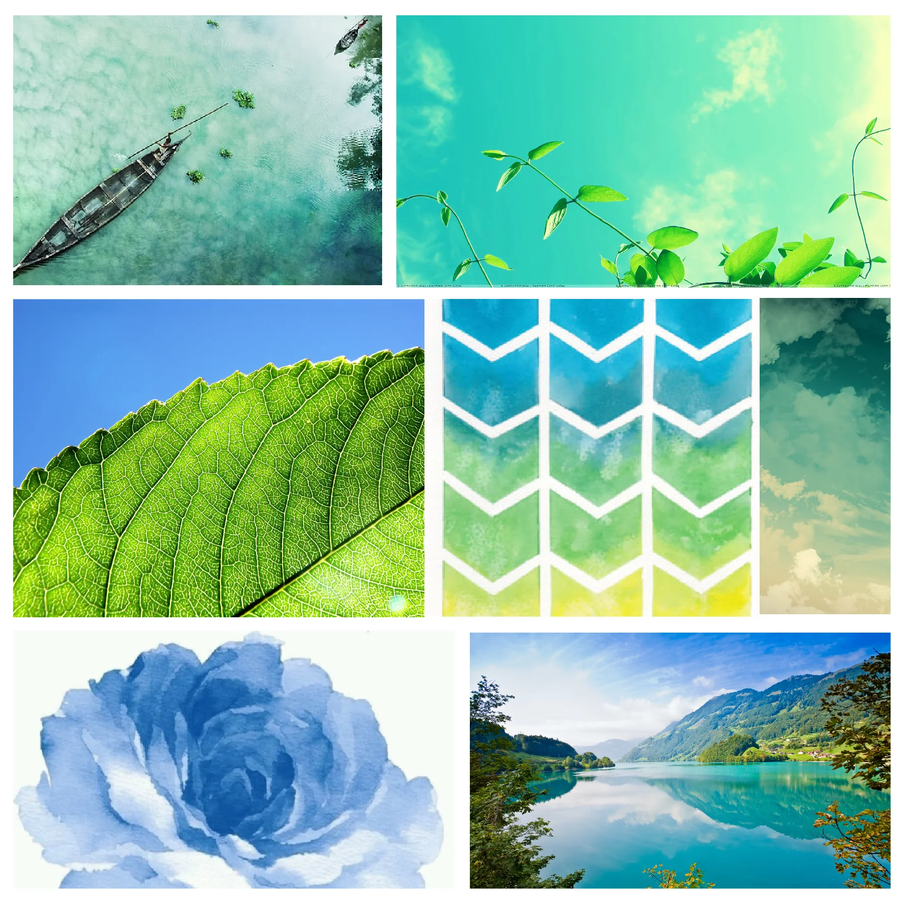 CAP_negative space1-01.jpg