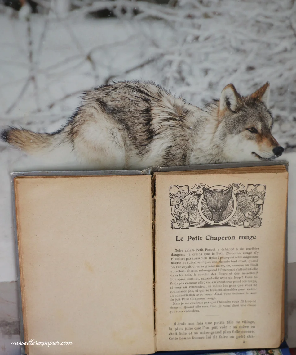 wolf.jpg
