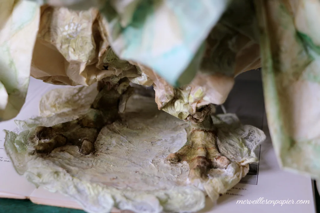 Benevolent frog - detail