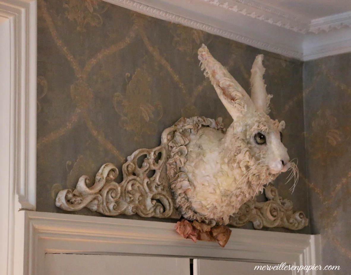 white-Rabbit-Hunt-Tropfy.jpg