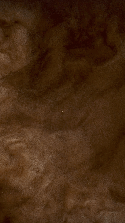 Apr-26-2019 16-07-53.gif