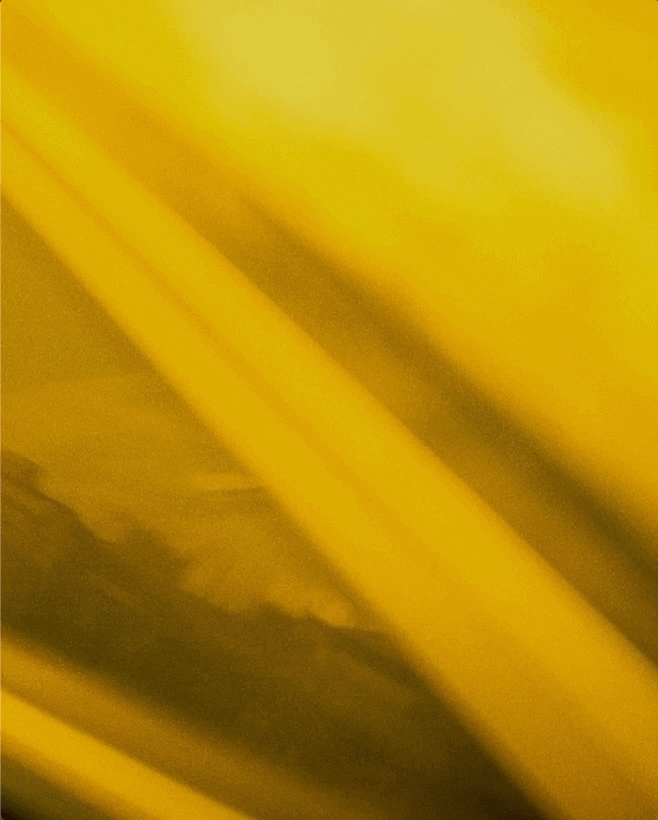 Large GIF (658x820).gif