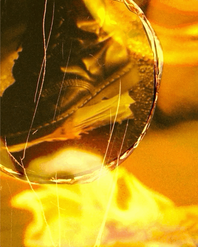 Large GIF (658x820).gif