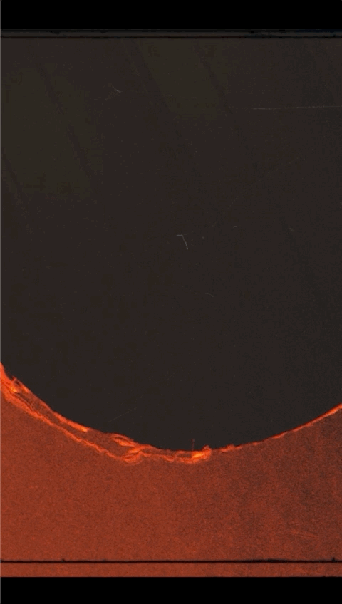 Large GIF (480x848).gif