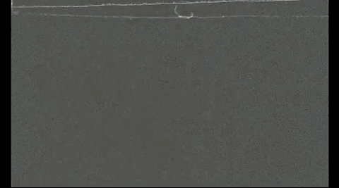 Apr-07-2020 16-41-26.gif