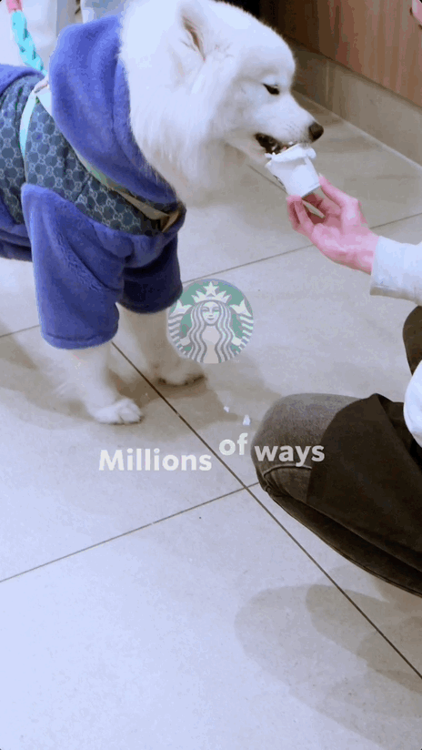 Dec-28-2024 19-37-00.gif