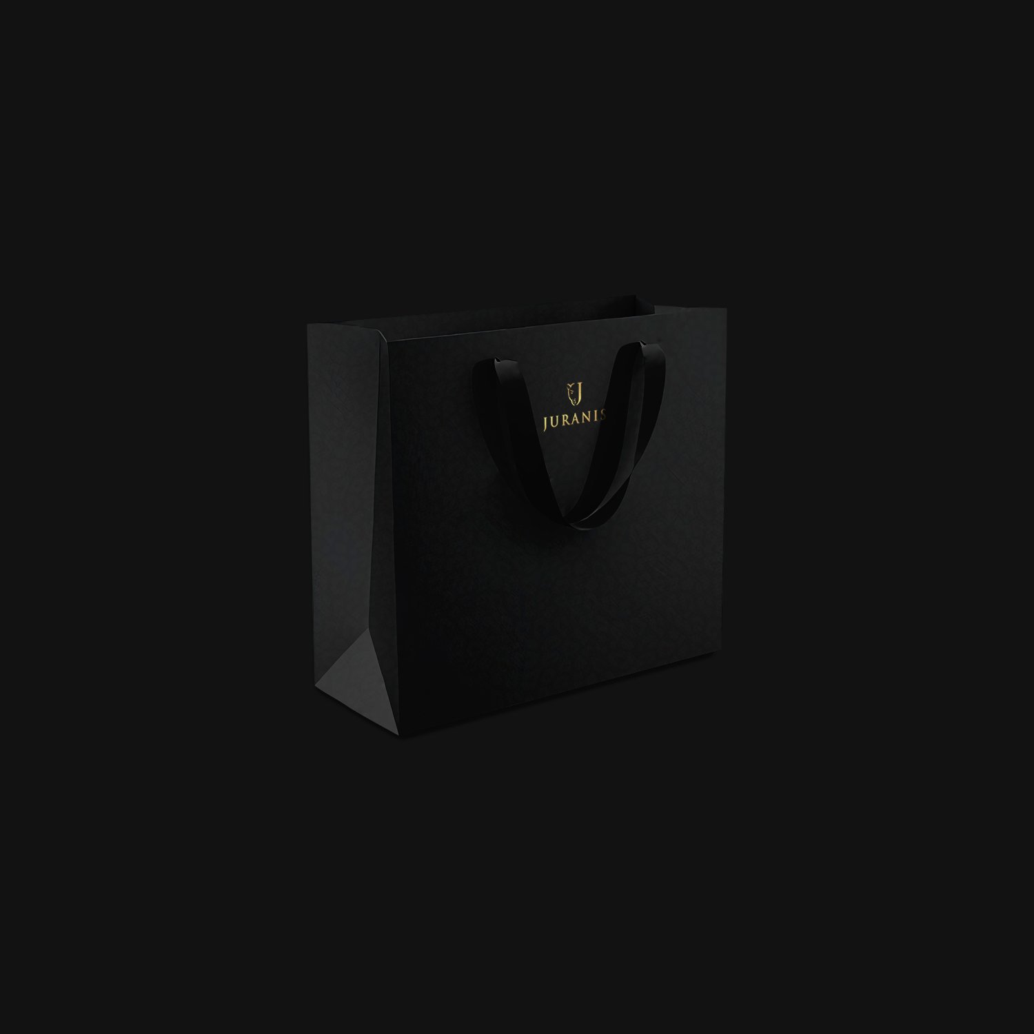 Paper bag.jpg