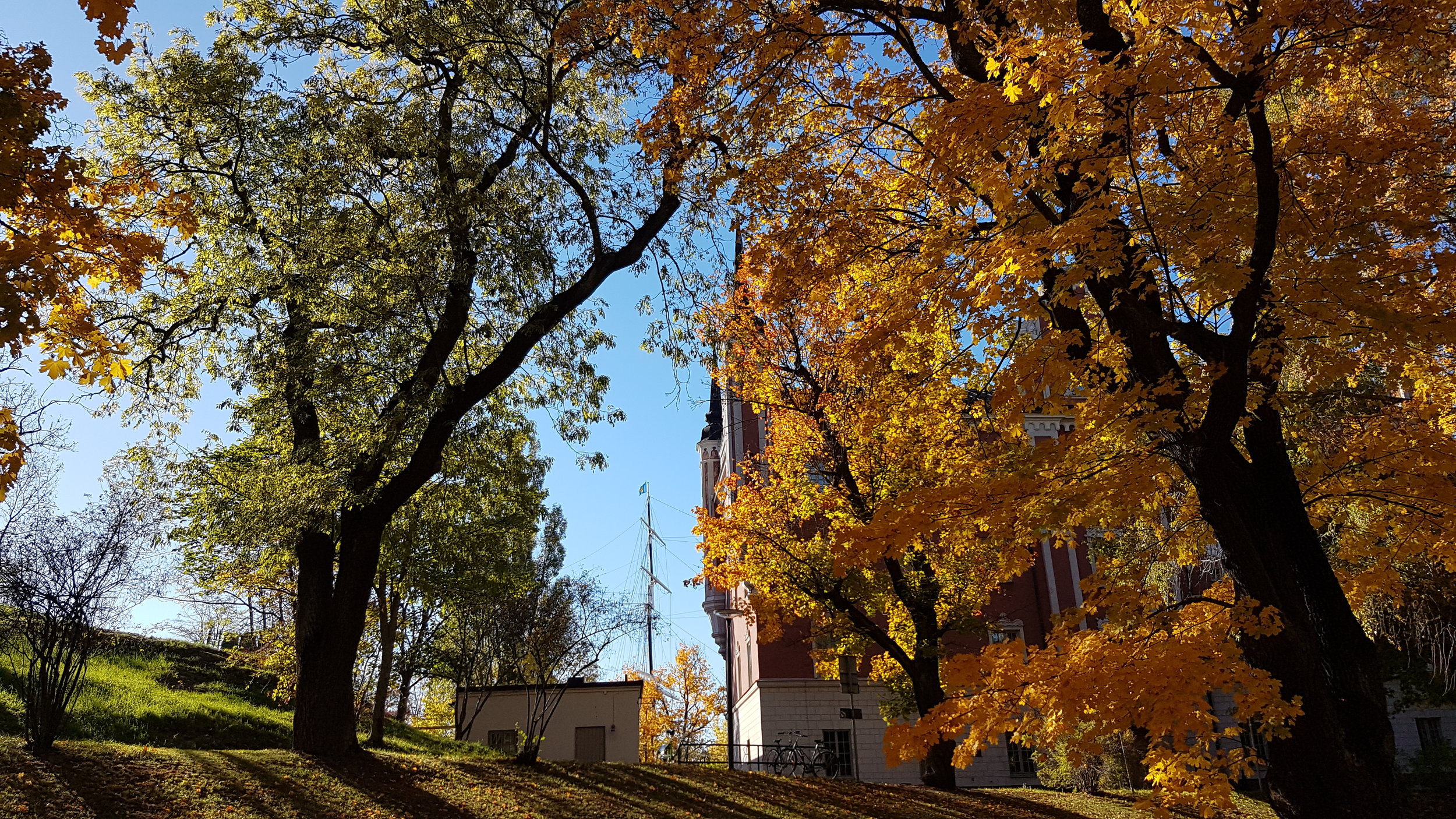 20181007_135549.jpg