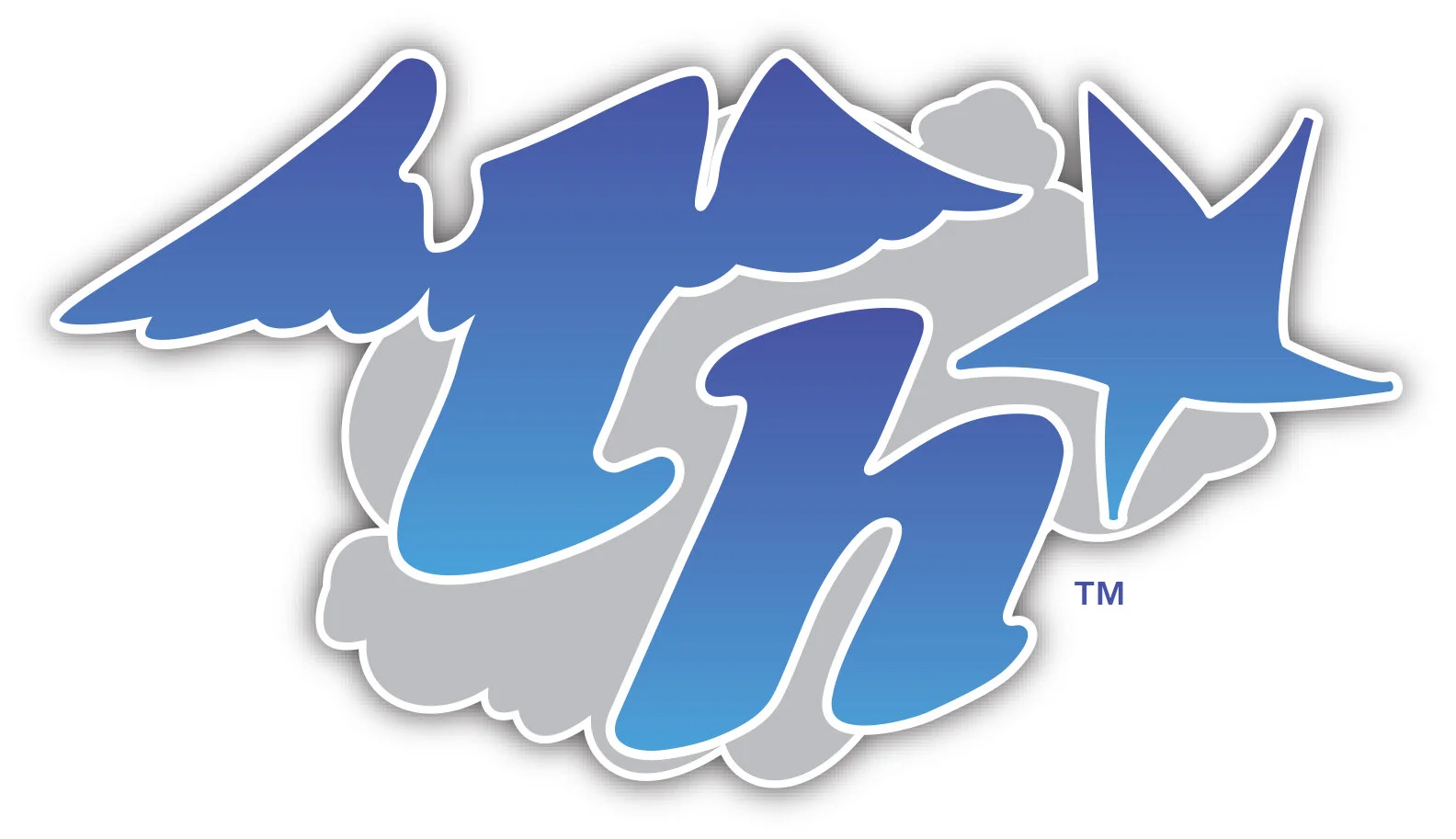 TH Graphic Logo Final Master Grey.jpg