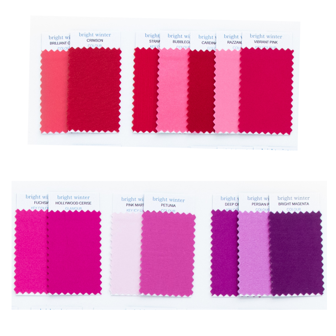 Bright Winter Pinks and Purples.png