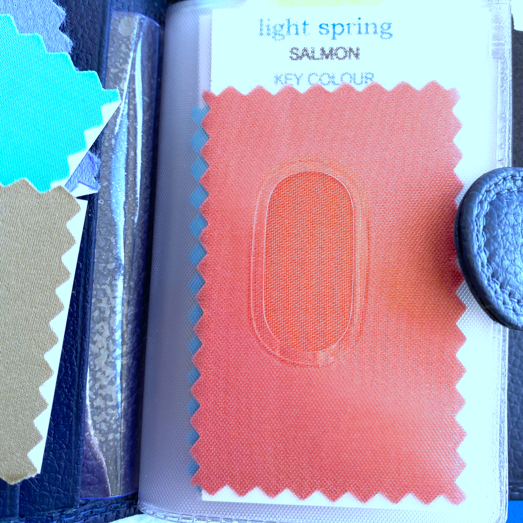 Light Spring Wallet hole.png