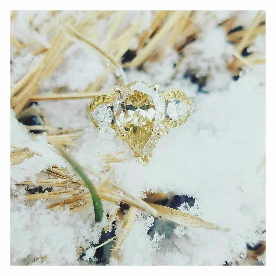 ring in snow.jpeg