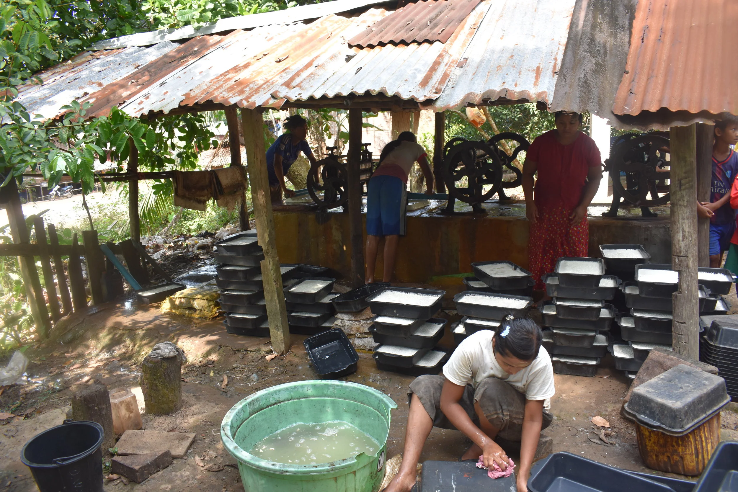 Rural electricity access: what is it used for?