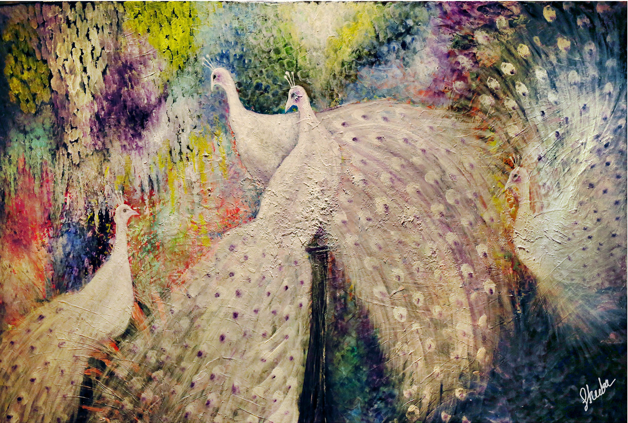 The White Peacock