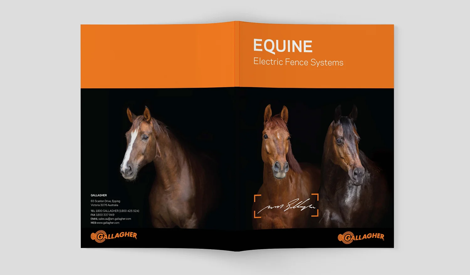 Gallagher Equine_Cover.jpg