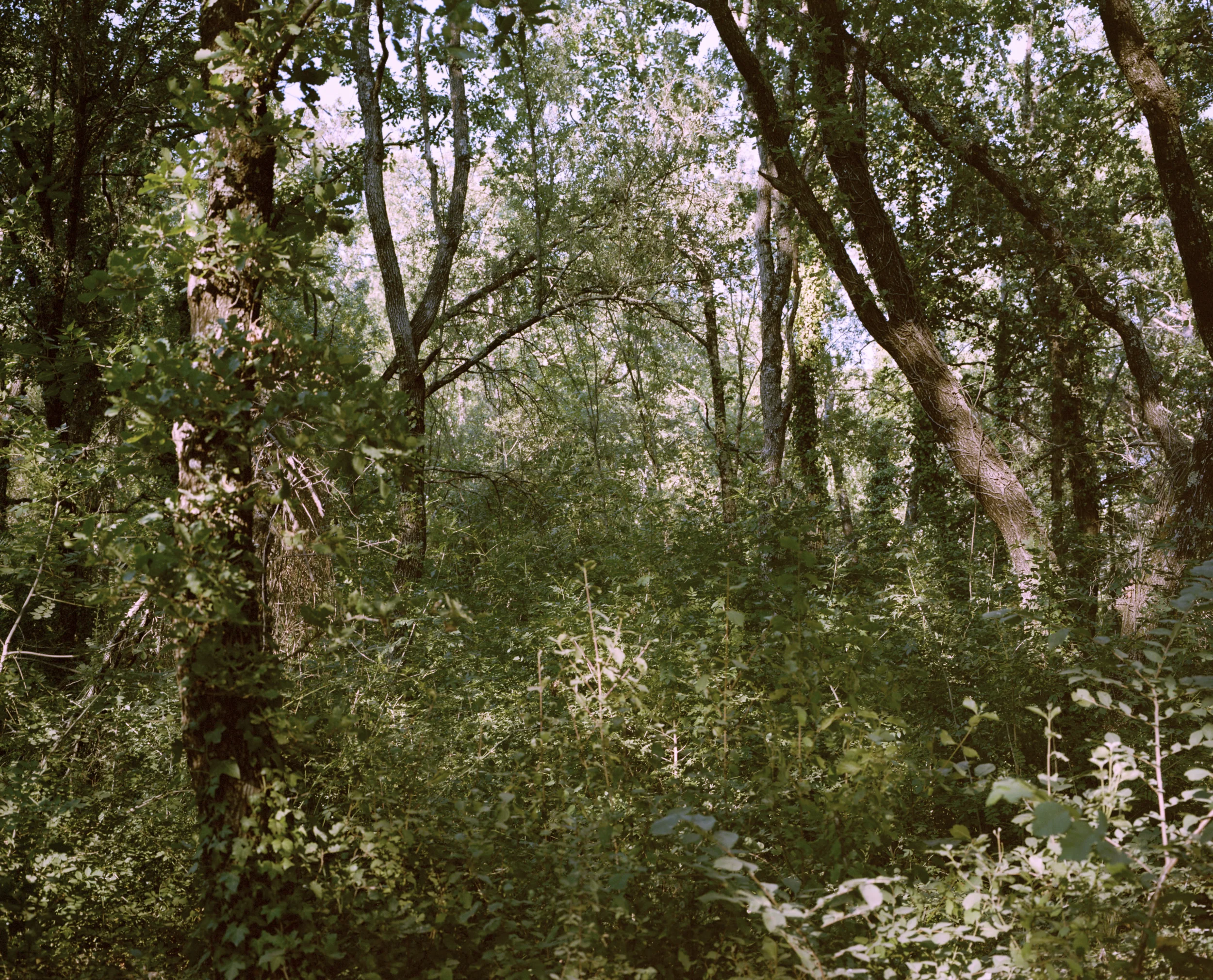 La Motte, France 2016
