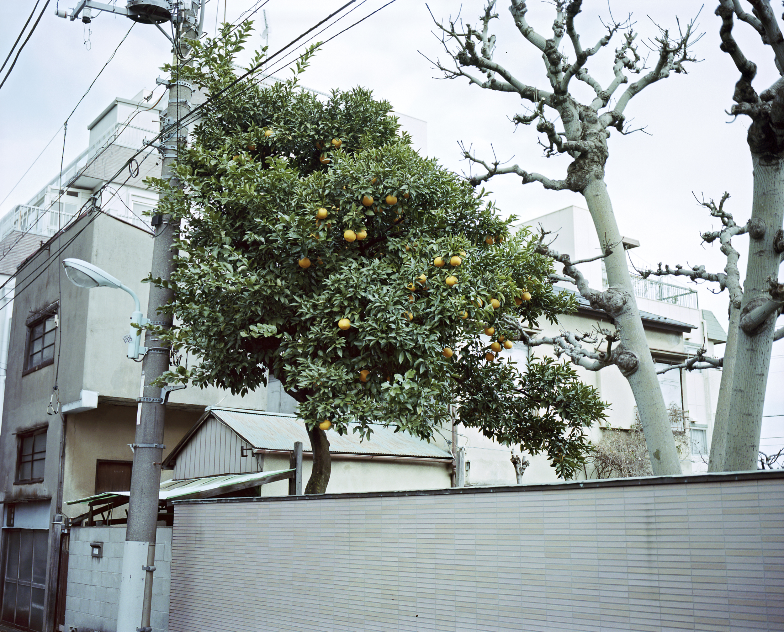  Tokyo, Japan 