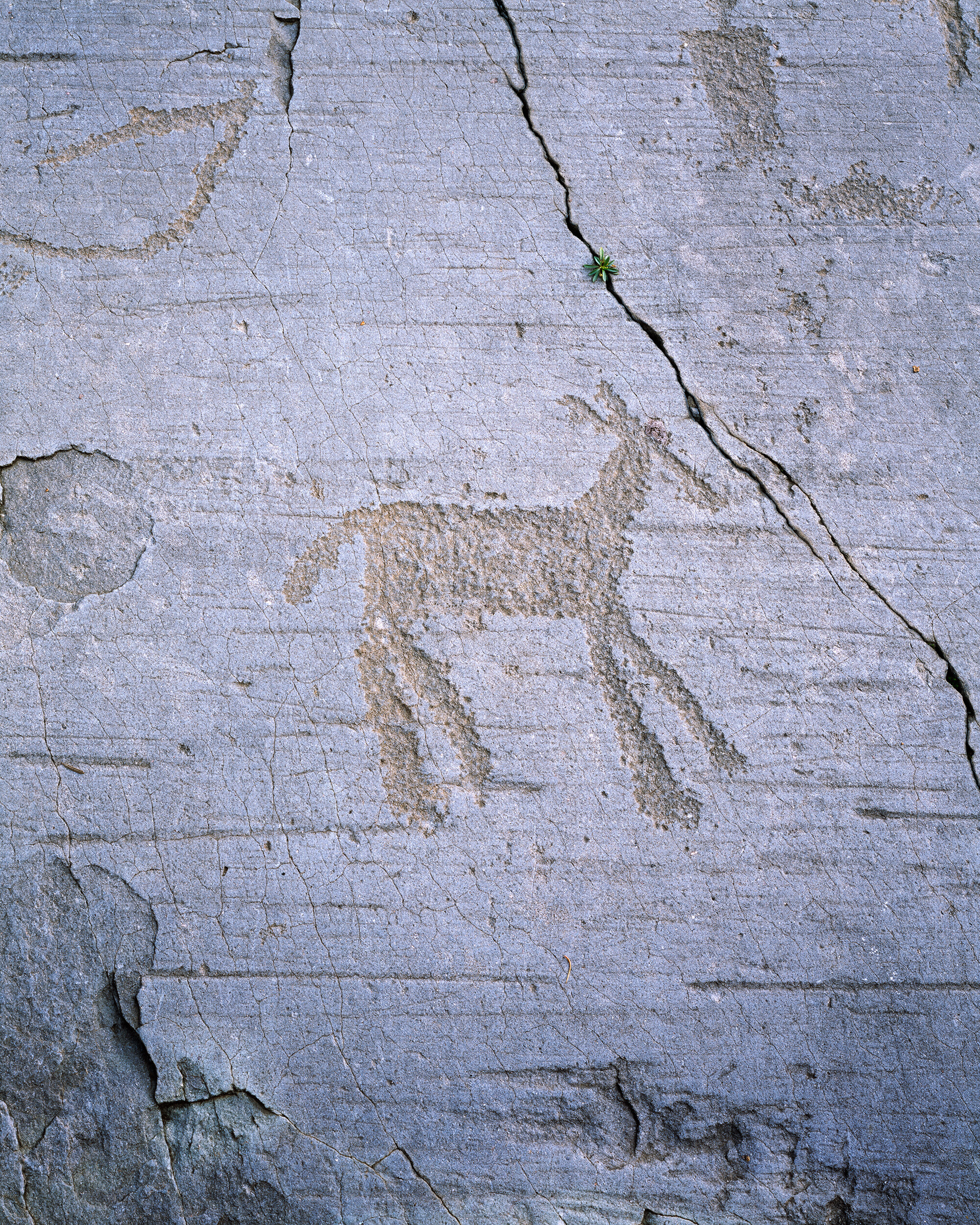 Petroglyph II