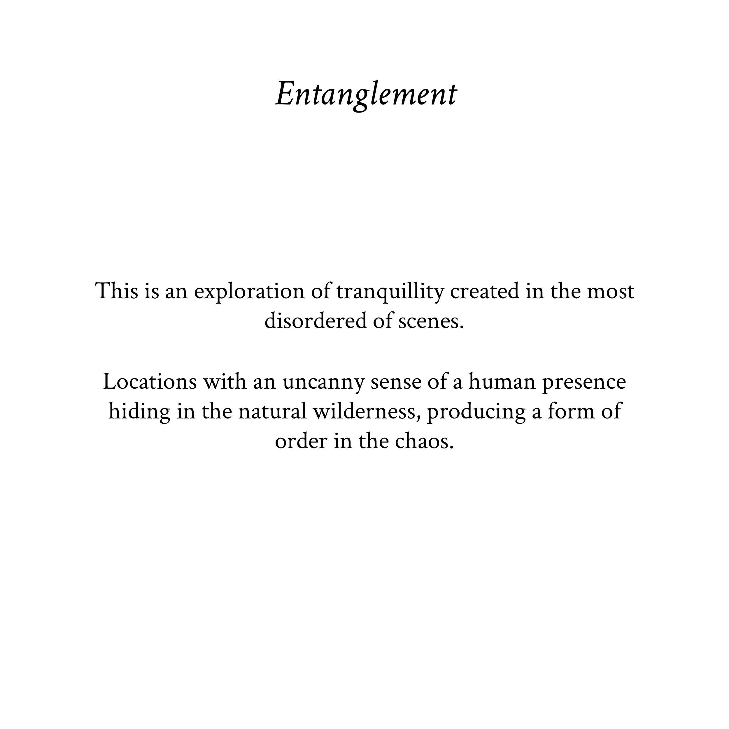 entanglement text.jpg