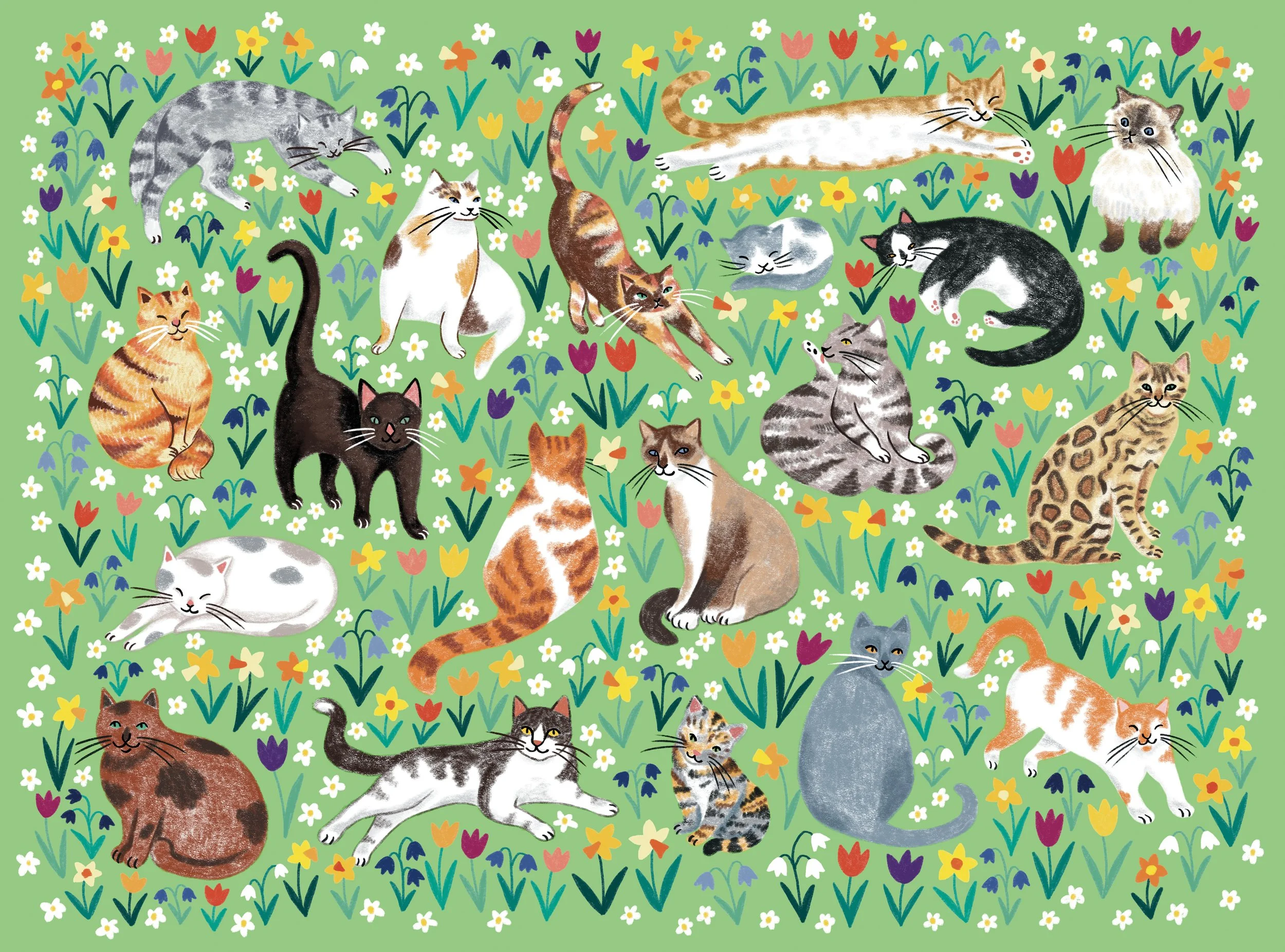 A garden filled with cats & spring flowers emma carpenter small.jpg