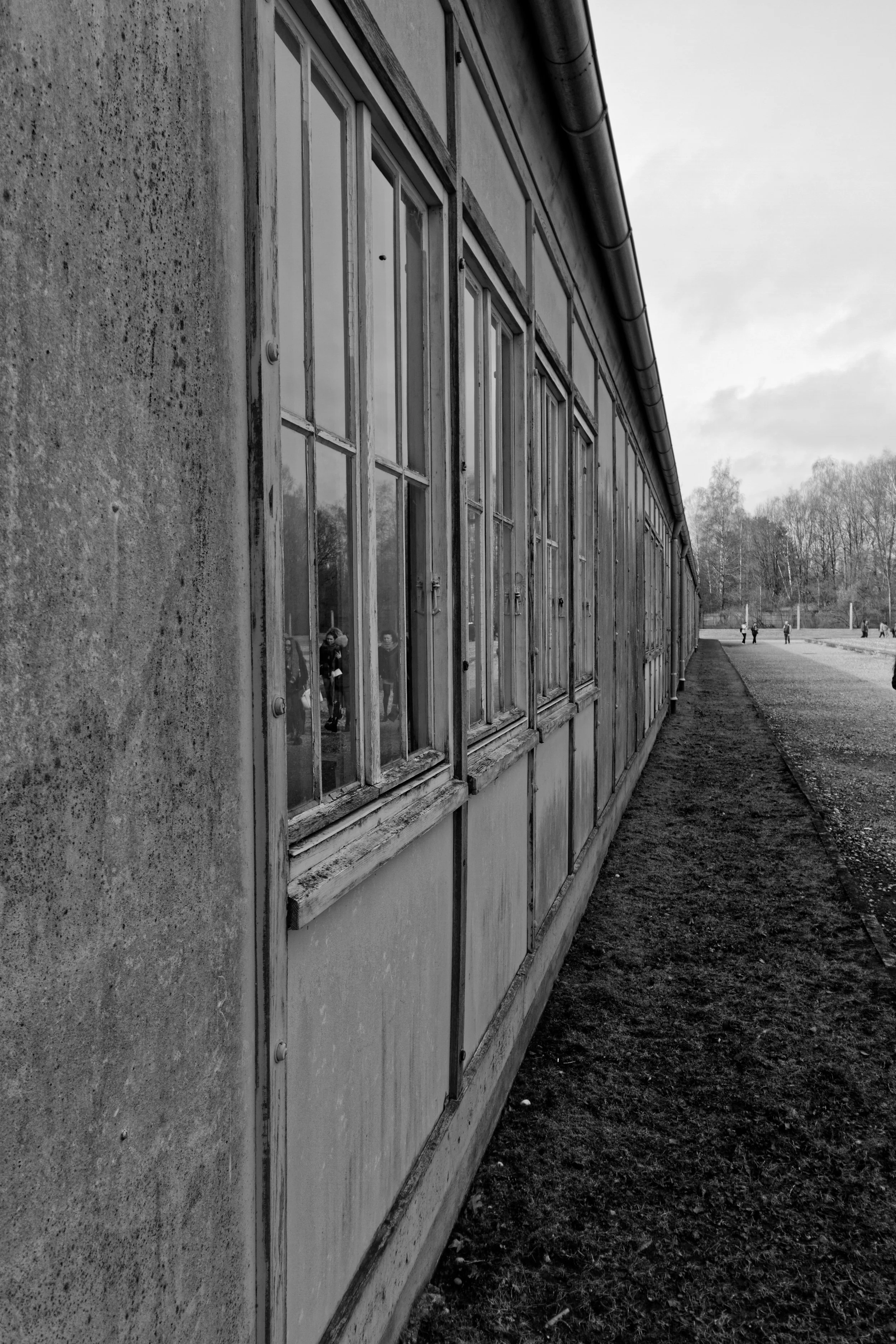 GAP16899_DxO.jpg