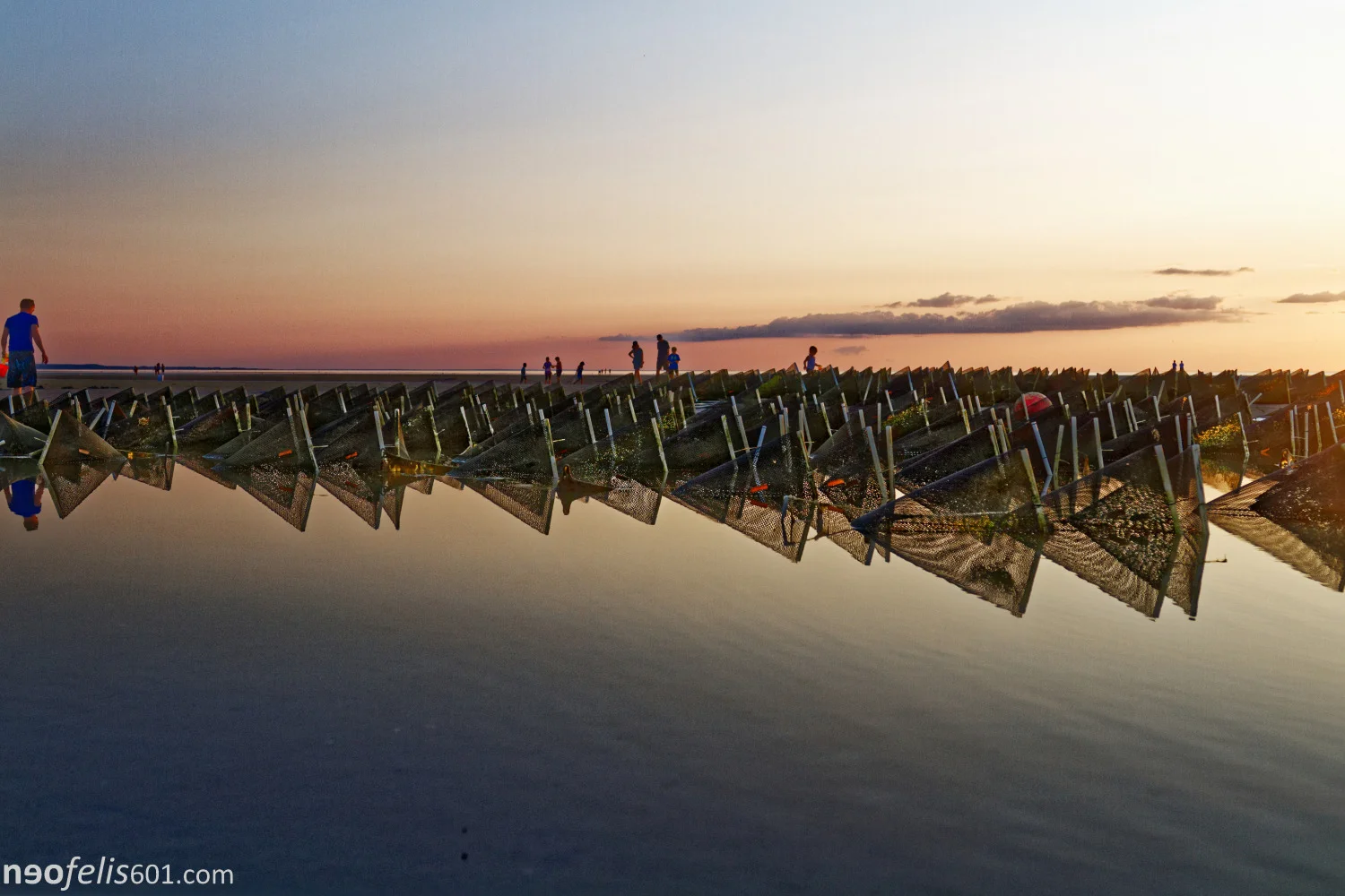Cape Cod