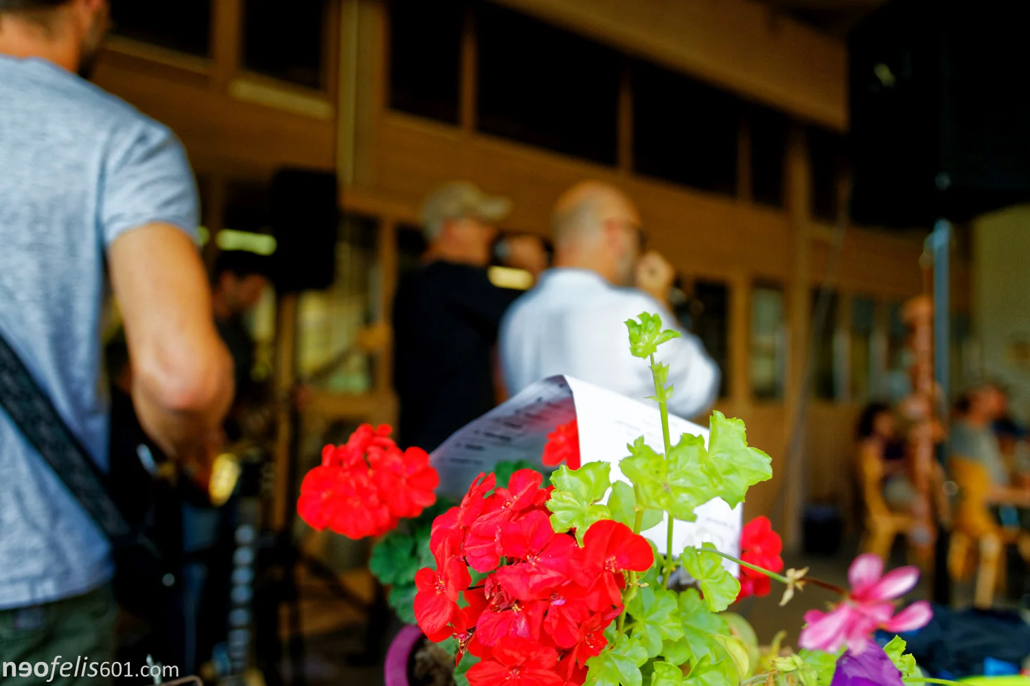 0725 - neofelis601.com.jpg