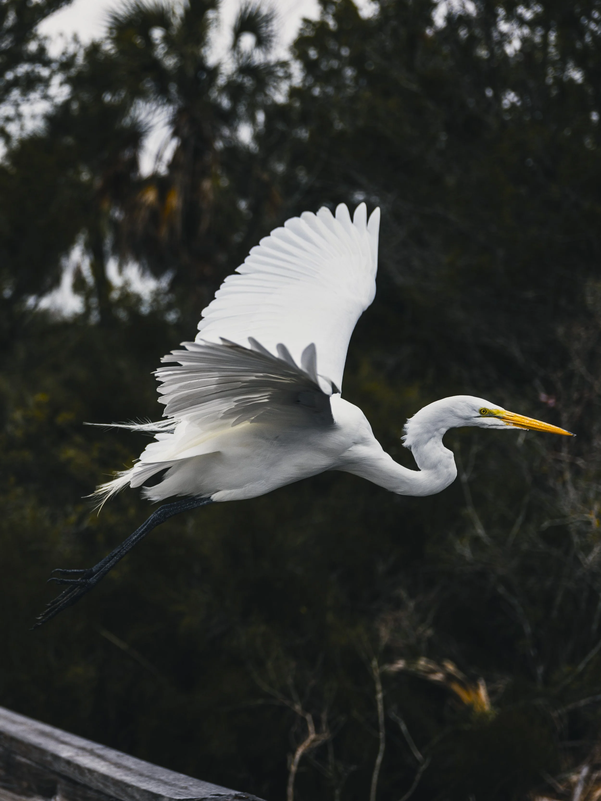 R5__0049-359-24_Sebastian-Schulte copy.jpg