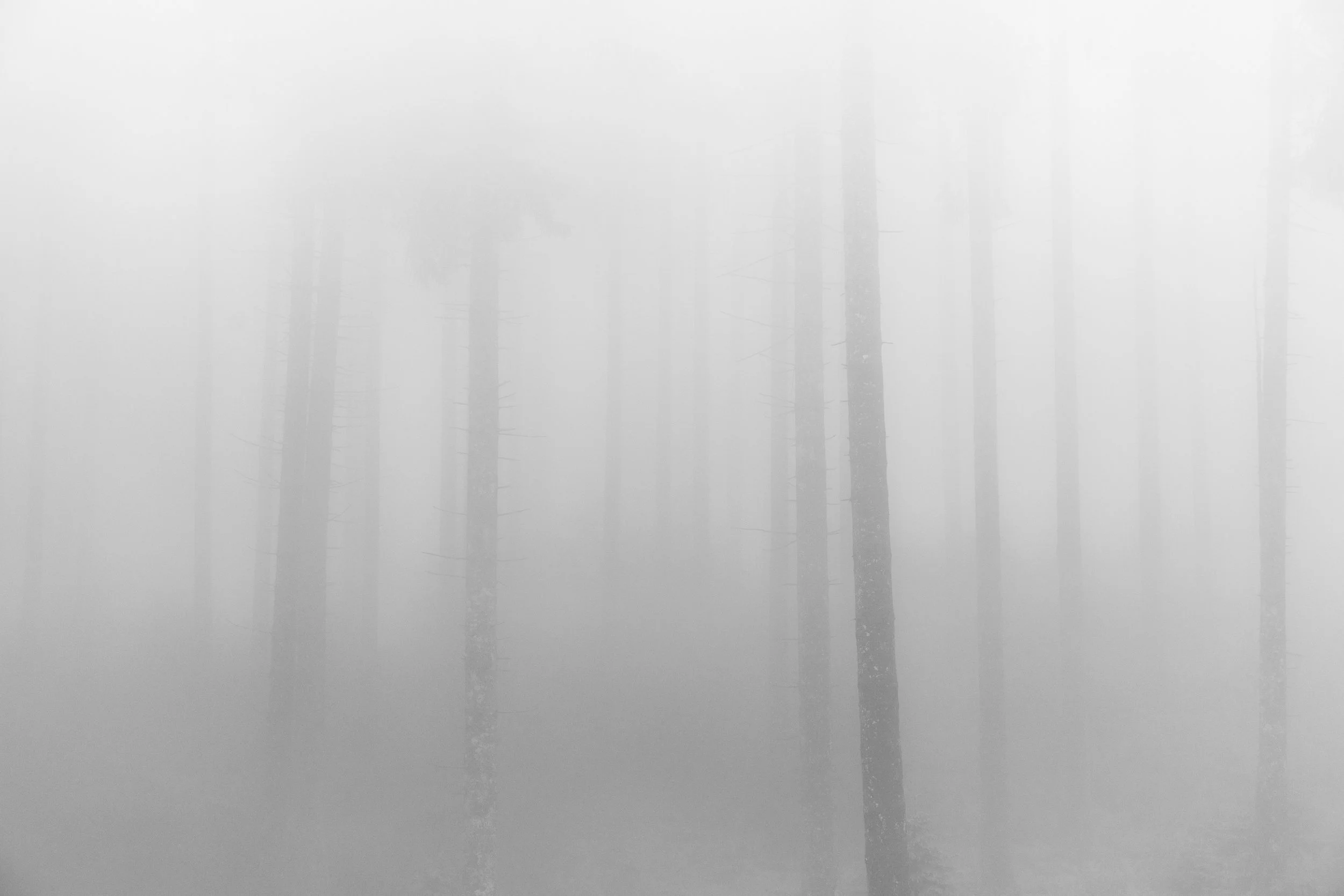 R5__0762-160-26_Sebastian-Schulte.jpg
