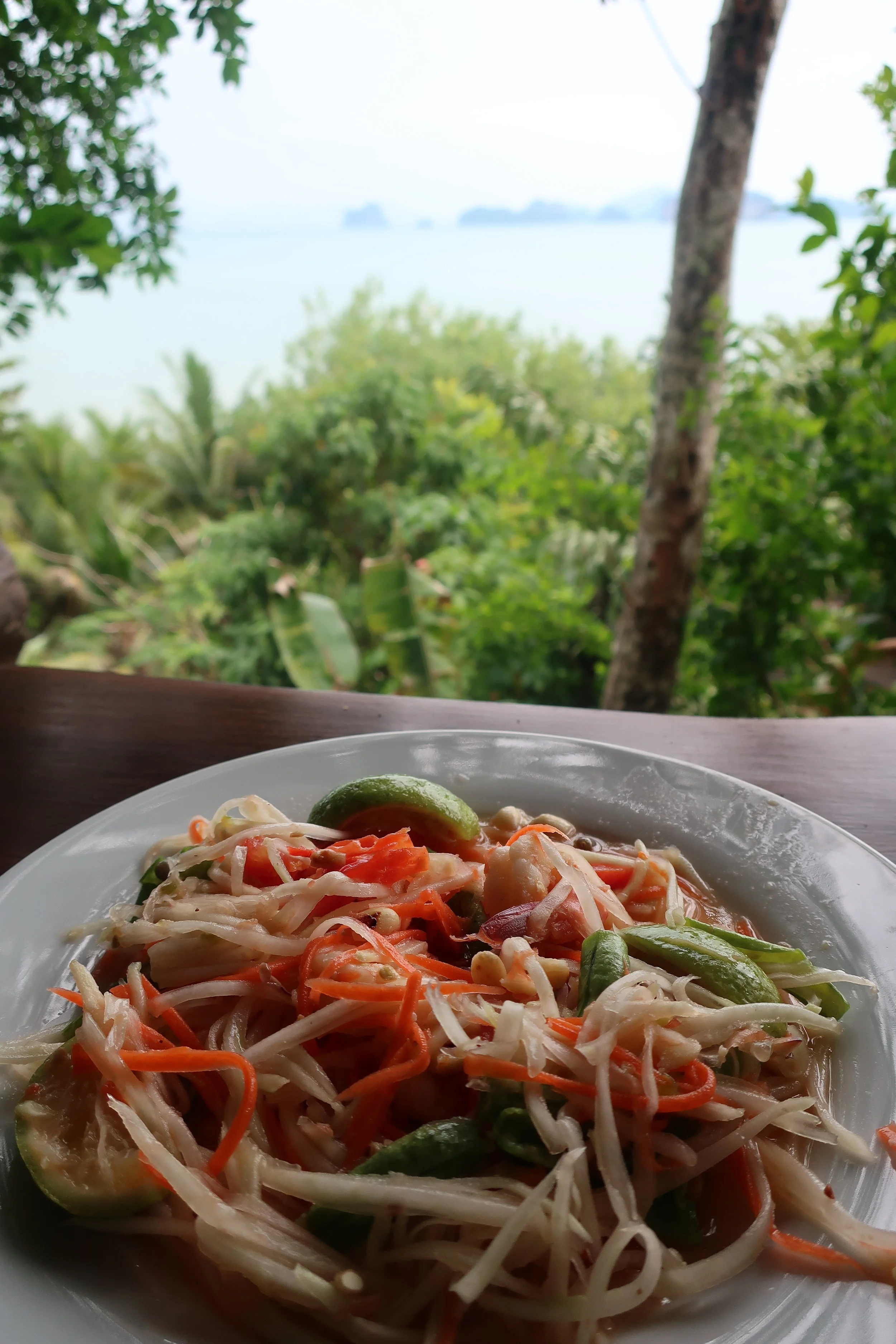 Salade de papaye verte (Som tum/Som tam)