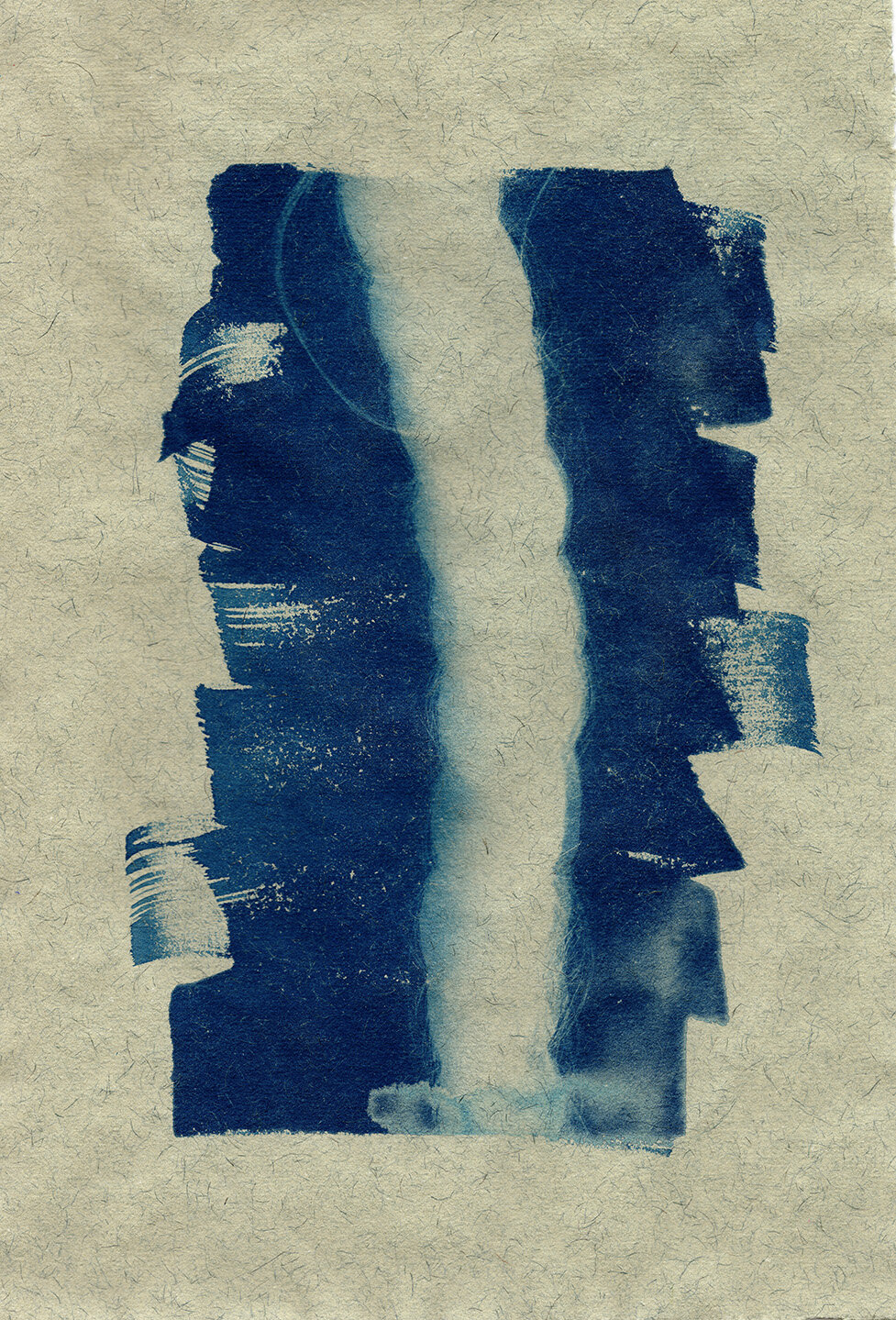 braid, 2019, 17,2x14,8 cm, cyanotype on Khadi Algae LOW RES.jpg