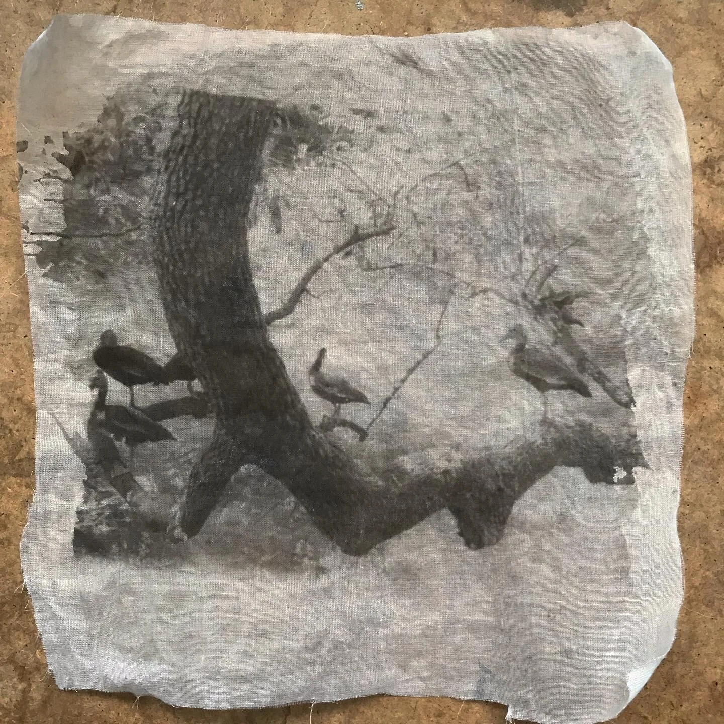 Liquid Emulsion Finally Flows At Darkroom