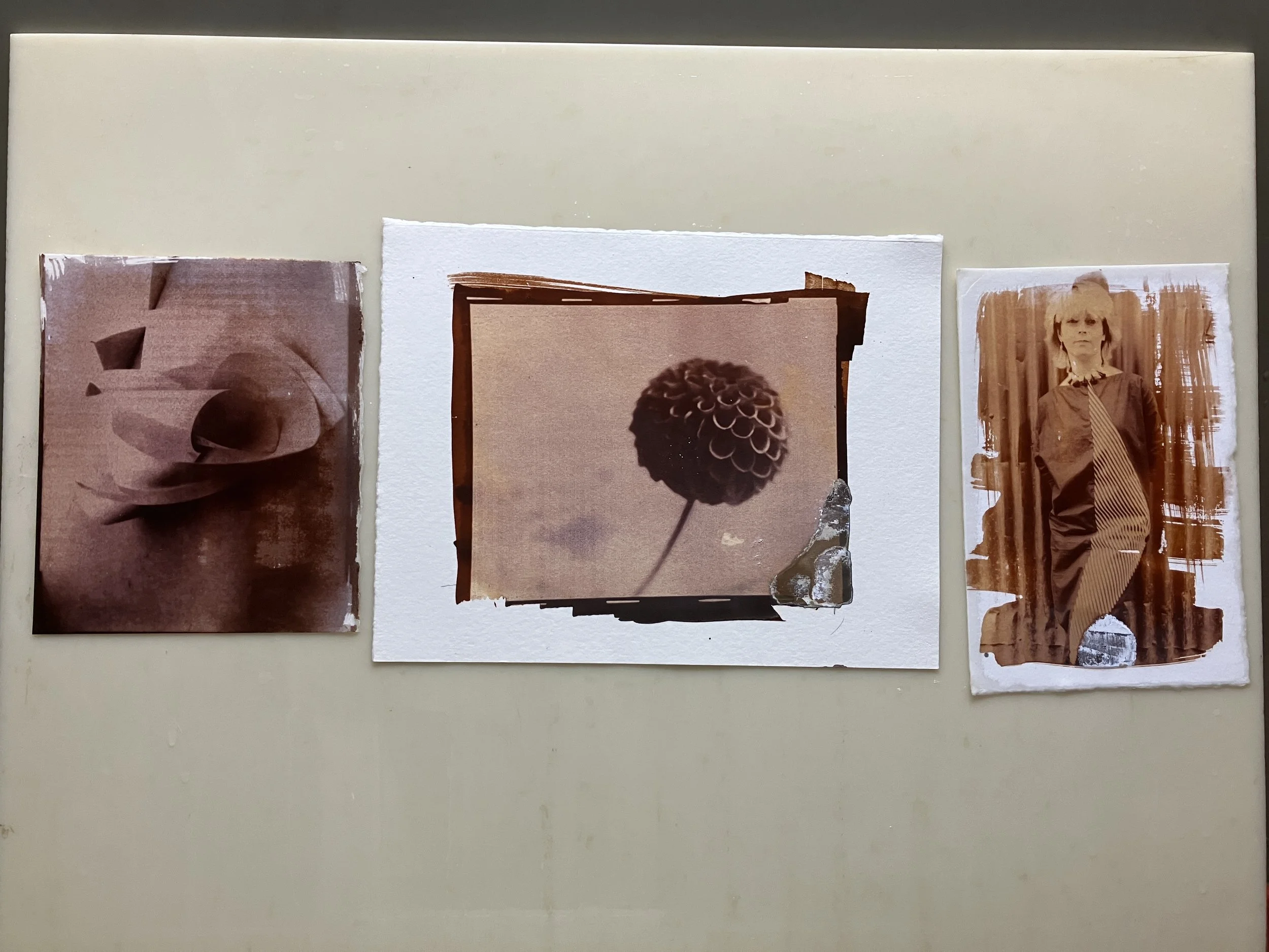 Scrambling eggs to make Albumen prints