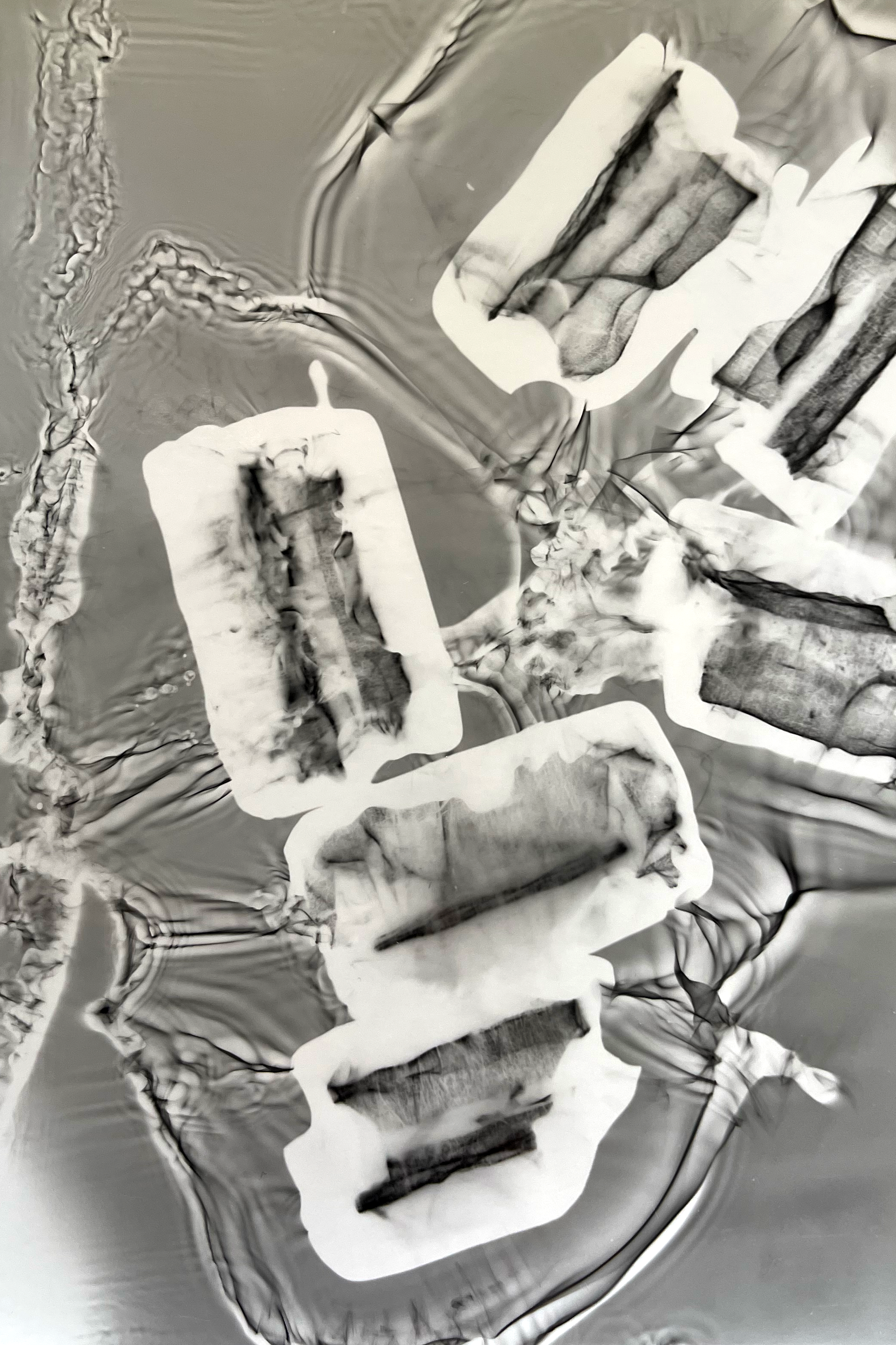 Photogram.png