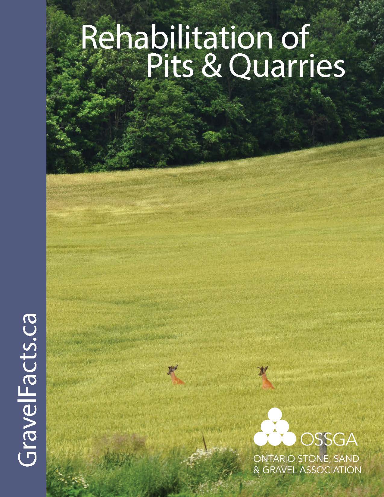 Rehabilitation of Pits and Quarries