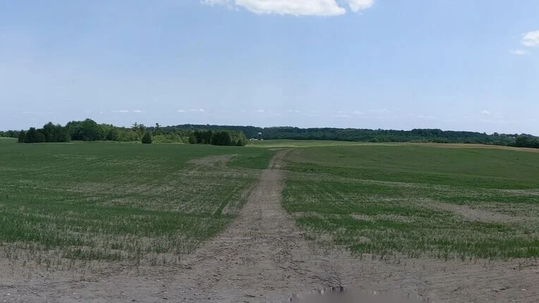 Orillia+Rehab+-+scott+parcel+from+haul+road%2C+start+of+oat+crop.jpg