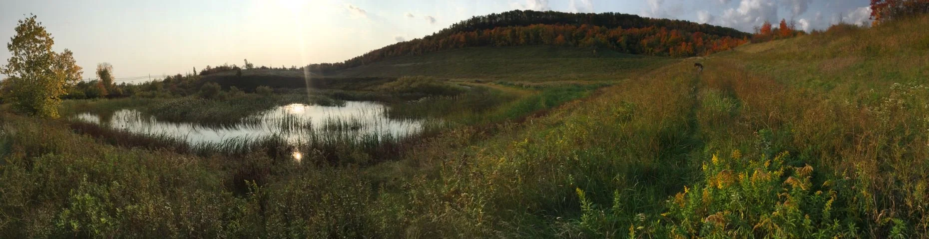 From Pit to Picturesque Countryside 