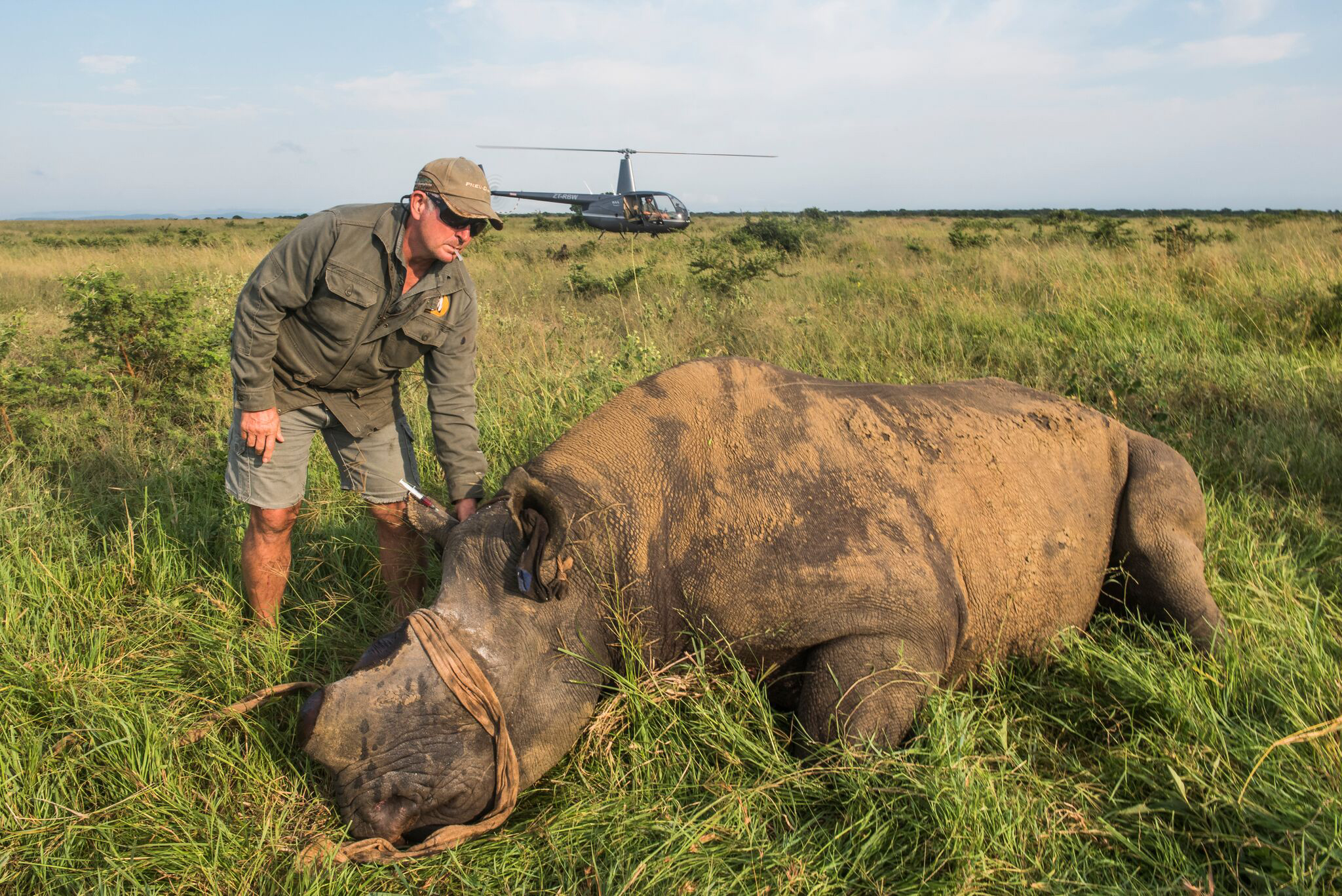 Dr. Toft administers the antidote reversal drug. Photo credit: ©Peter Chadwick www.peterchadwick.co.za