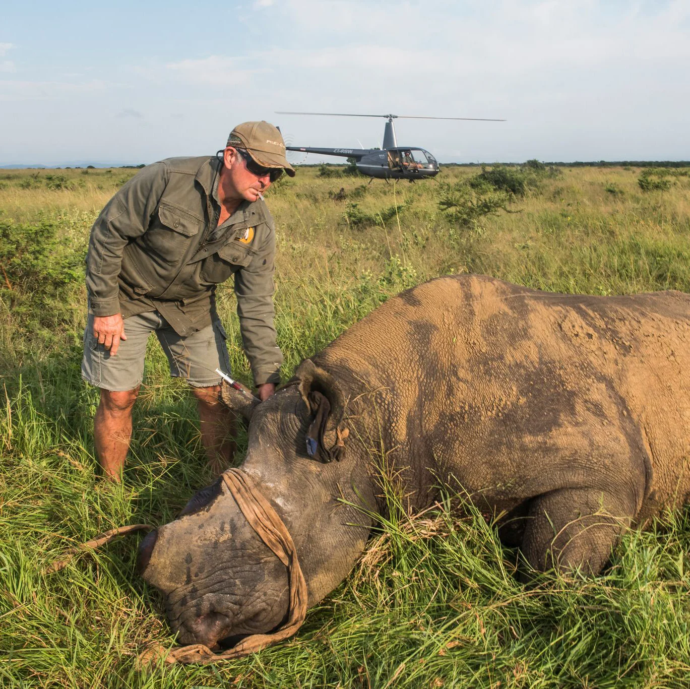 NEW YORK DETECTIVE WORK SAVES RHINOS IN SOUTH AFRICA 