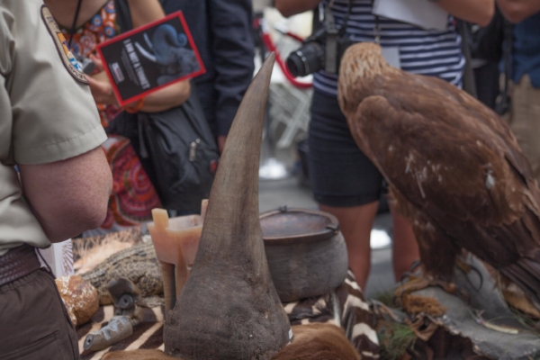 Seized rhino horn, New York 2015 at Times Square Ivory Crush. 