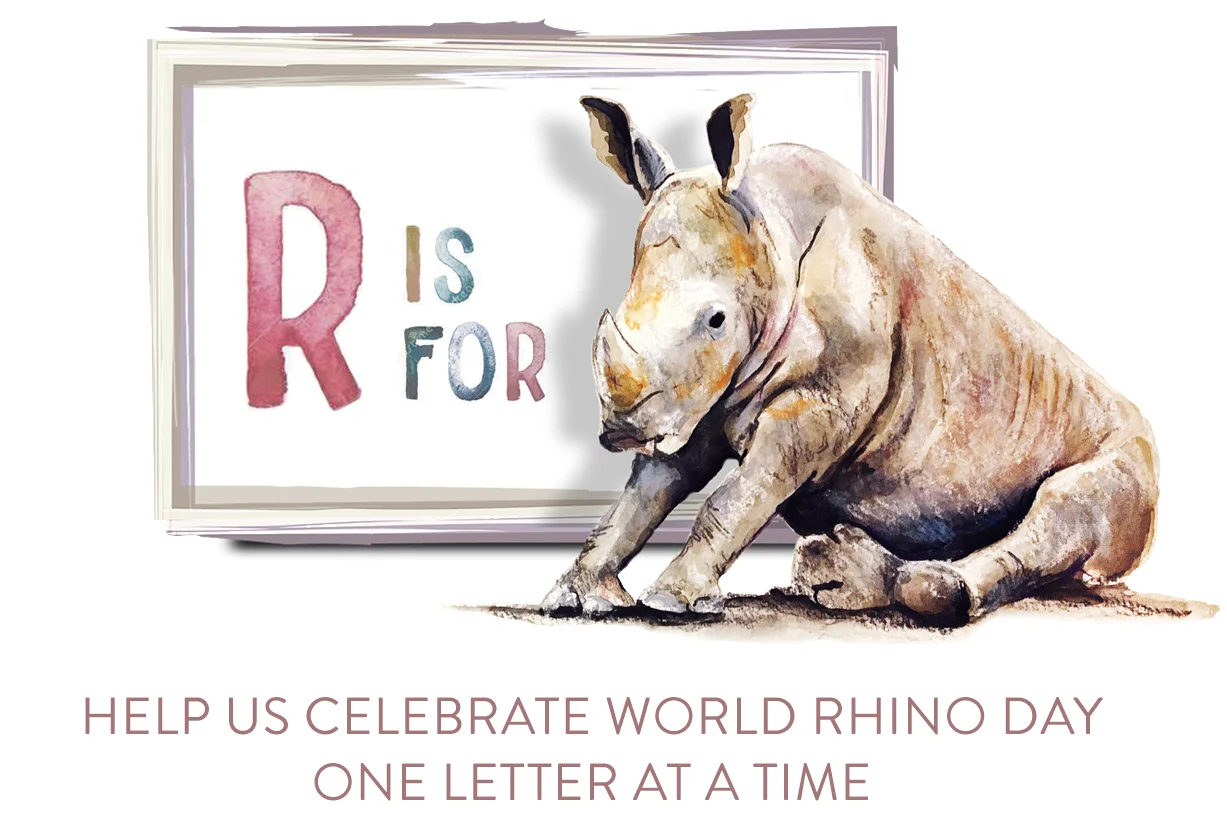rhino_day_overlay.jpg