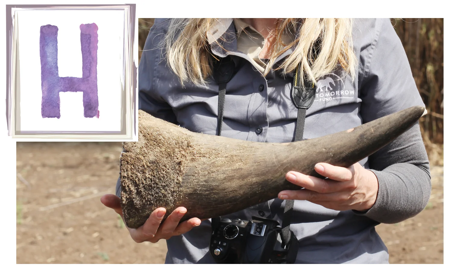 h is for horn.jpg
