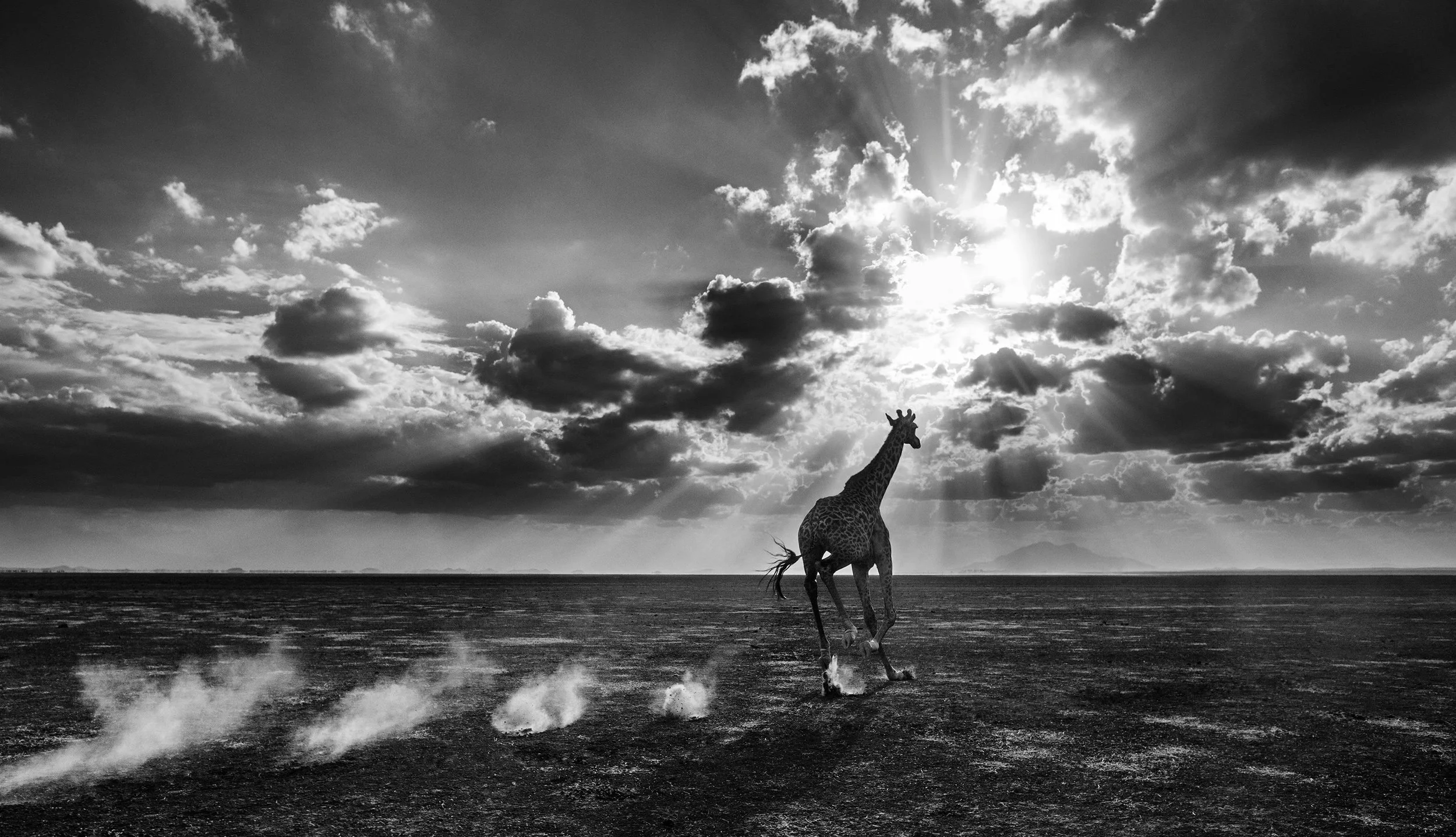 Heaven Can Wait II. Amboseli, Kenya 2014. David Yarrow Limited Edition.