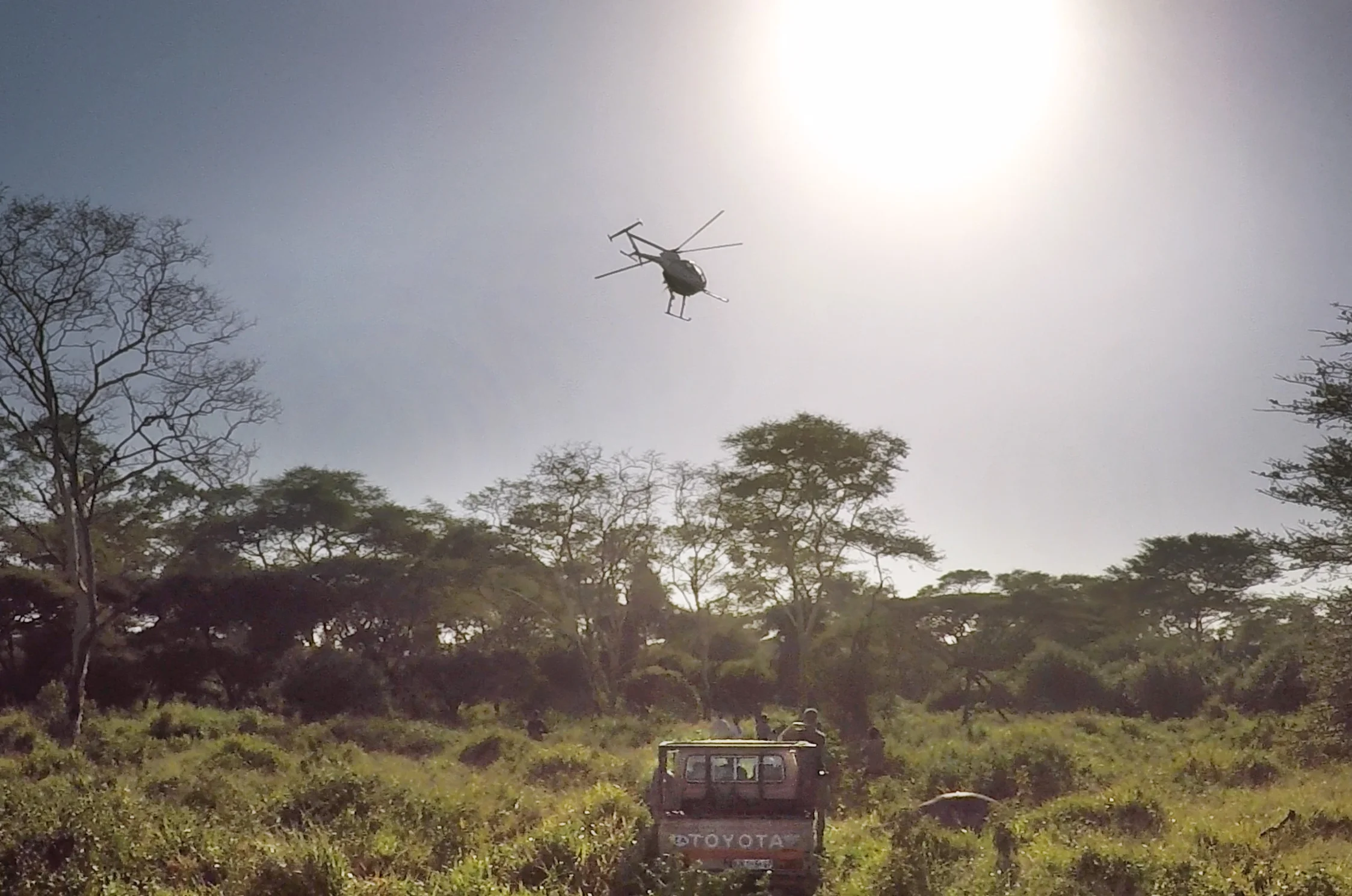 Dr. Dave Cooper locating the elephants from the air.