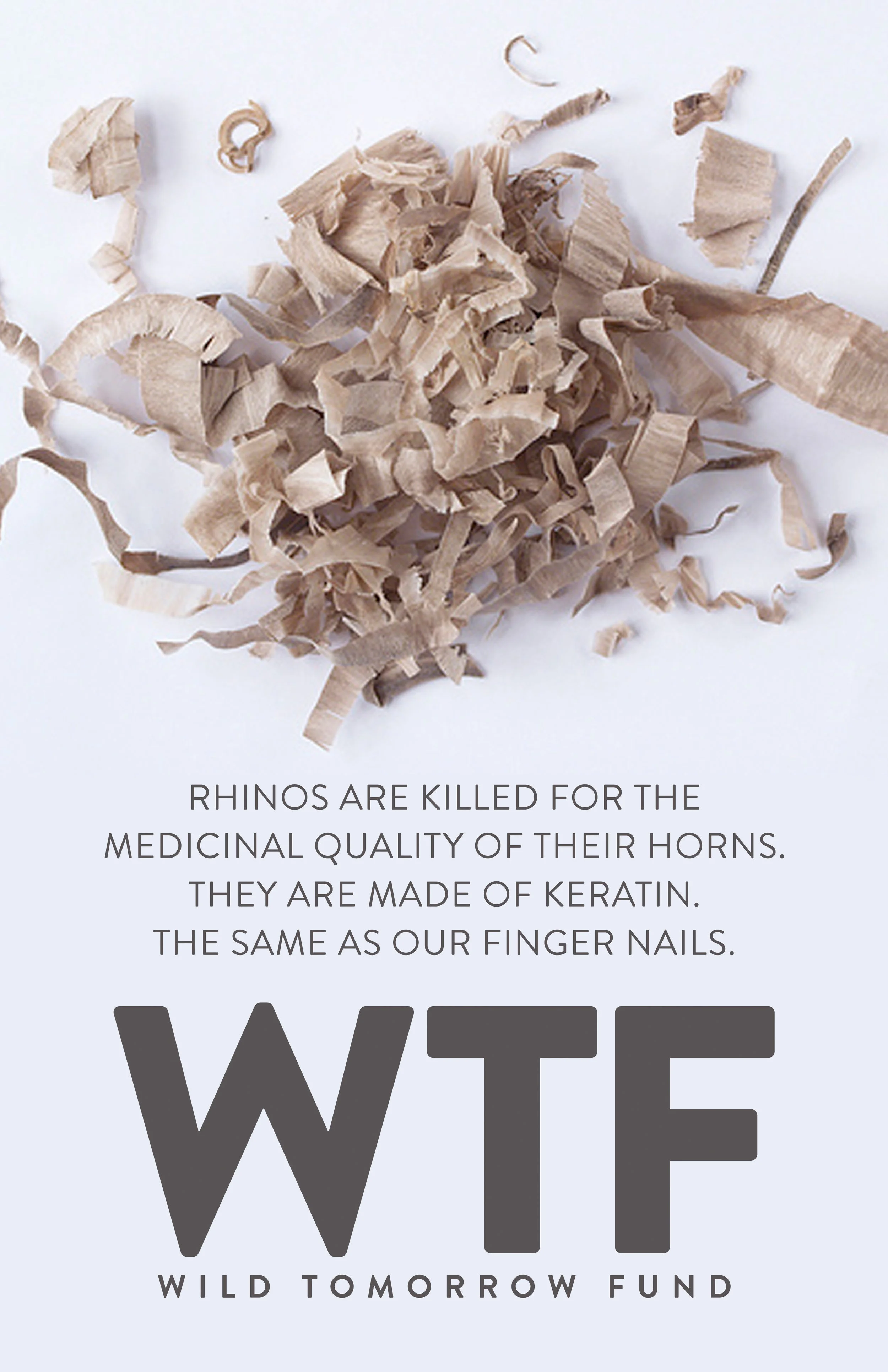 WTF poster_0003_keratin.jpg