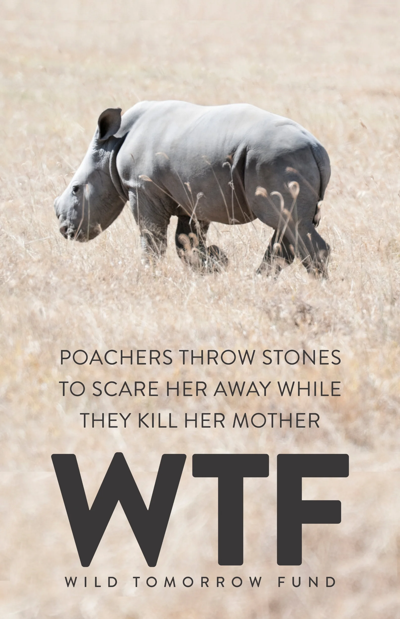 WTF poster_0004_baby rhino.jpg