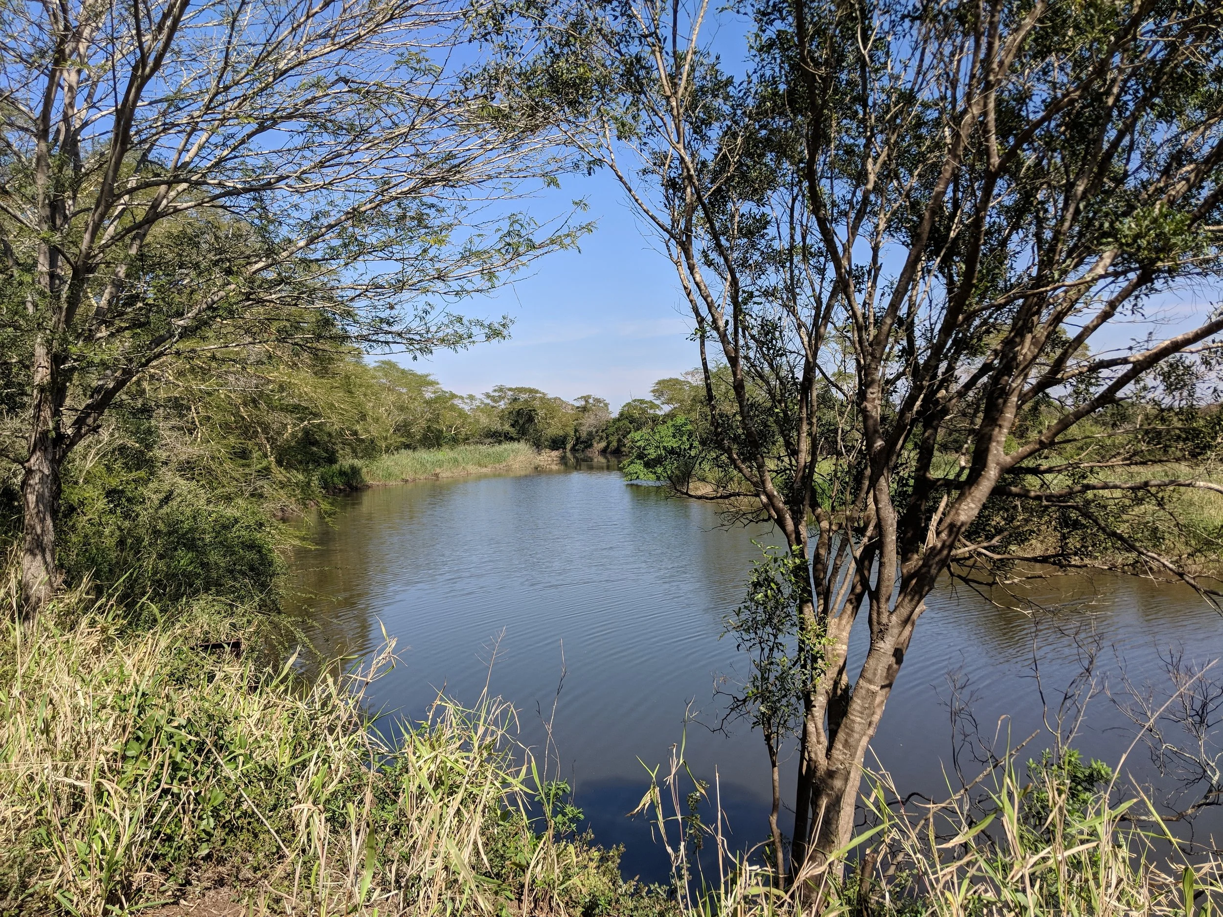 View from the bank of the Mzinine River, the northern border of our conservancy Ukuwela.