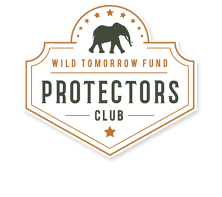 protectors_weblogo.png