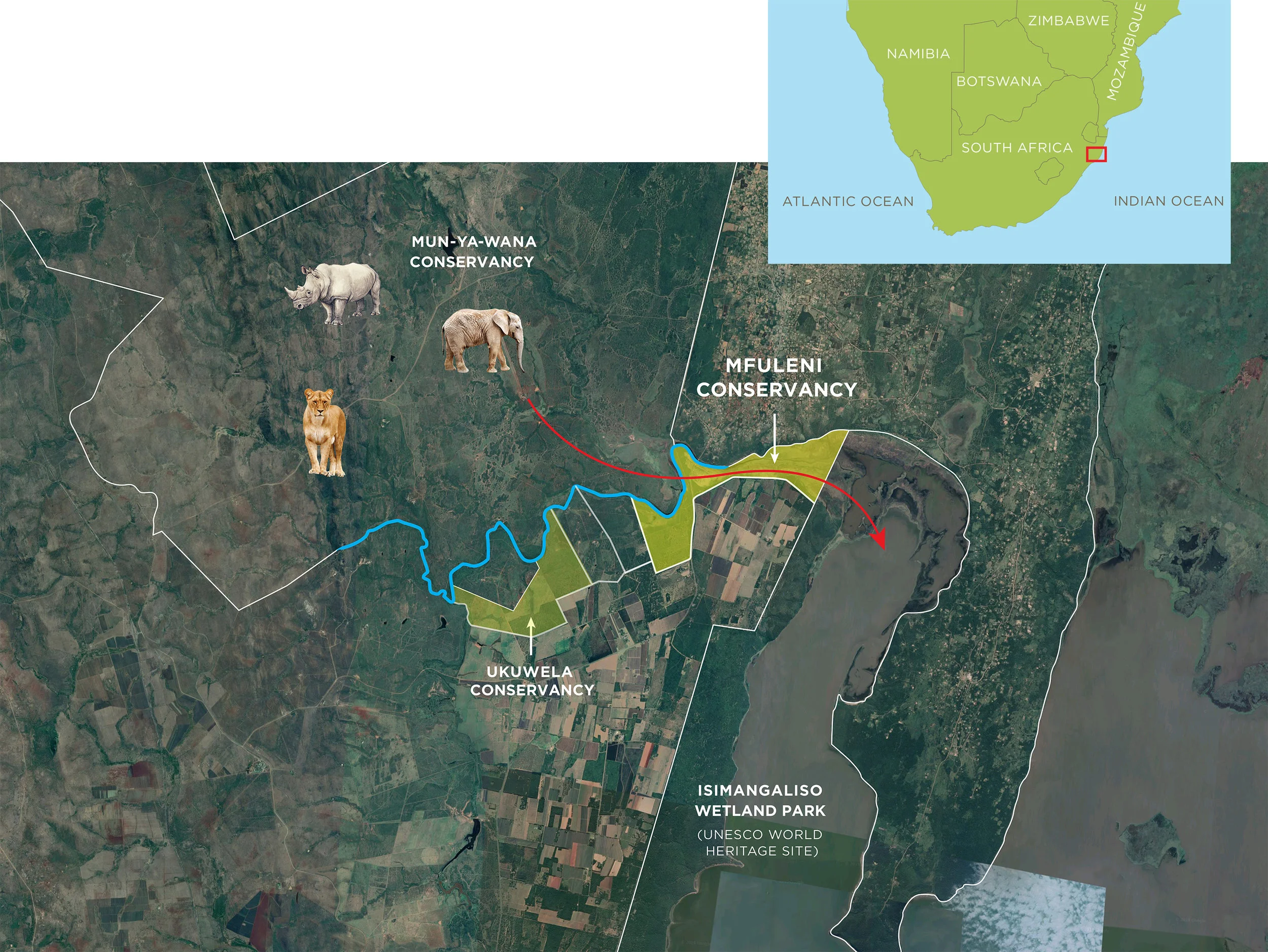 WITH THE PROTECTION OF MFULENI THERE IS NOW THE POTENTIAL TO CREATE A WILDLIFE CORRIDOR BETWEEN THE MUN-YA-WANA CONSERVANCY AND ISIMANGALISO WETLAND PARK