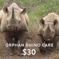 orphan+rhino+care+$30.jpg